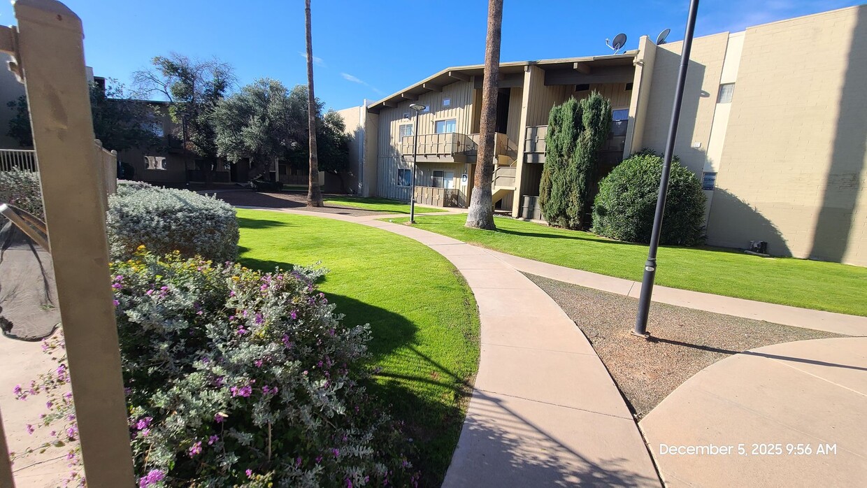 Foto principal - TUCSON - ROYAL ALVERNON