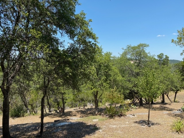 Primary Photo - 18778 FM 1431
