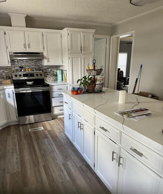 162 Taney St, Branson, MO 65616 House Rental in Branson, MO