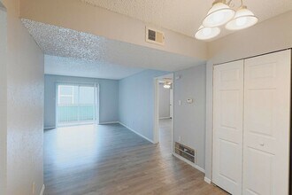 Interior Photo - The Social Apartments