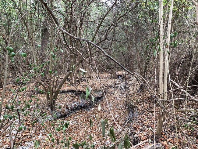 Foto del edificio - 12022 Thompkins Dr