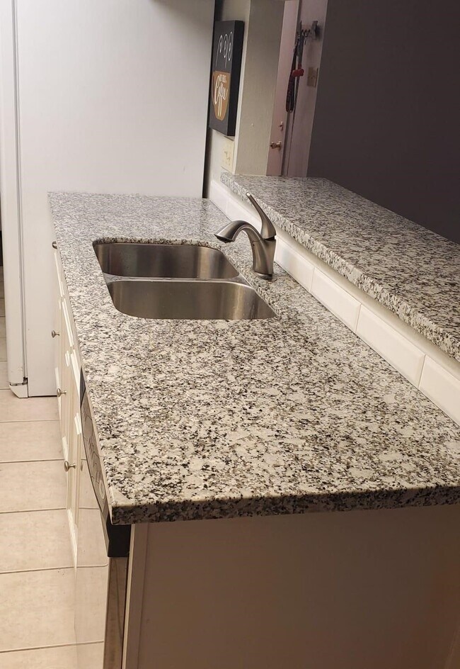 Foto del edificio - 39 S White Pebble Ct