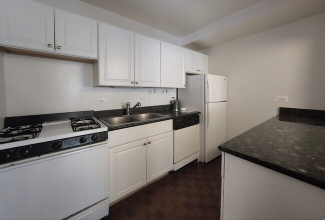 Building Photo - Very Spacious Lincoln Park 1 bed with HUGE...
