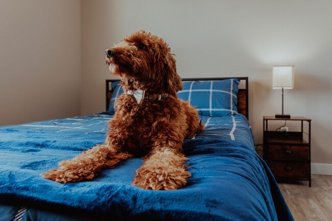 Foto del edificio - Elm 26 Apartments