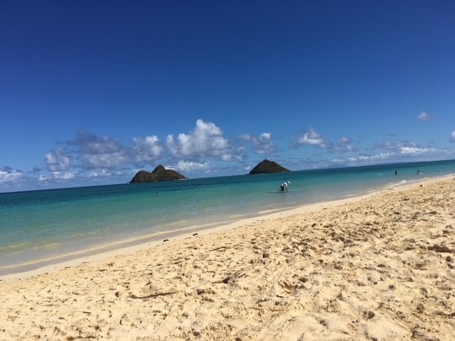 Photo - 96734 N Kainalu Dr Apartment