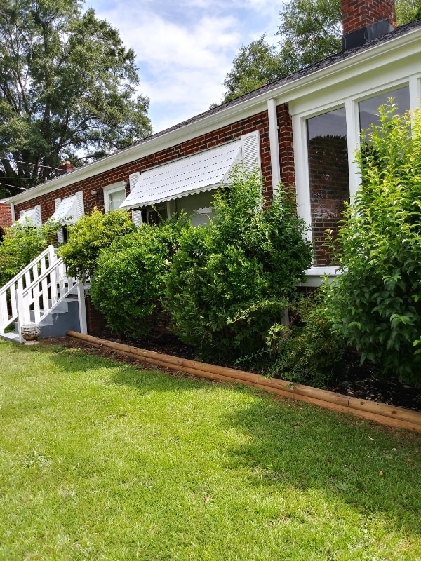 Photo - 19 Dargan St House