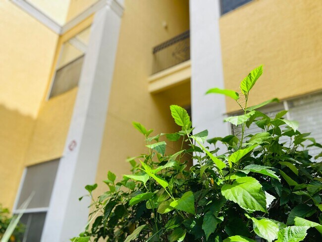 Foto del edificio - 2Bed/2bath Visconti Condo in Desirable Maitland FL!
