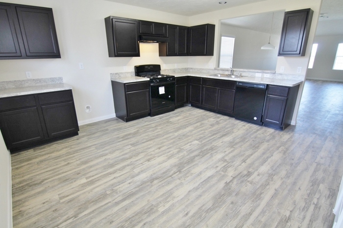 Primary Photo - 1007 Briza Del Mar Ct