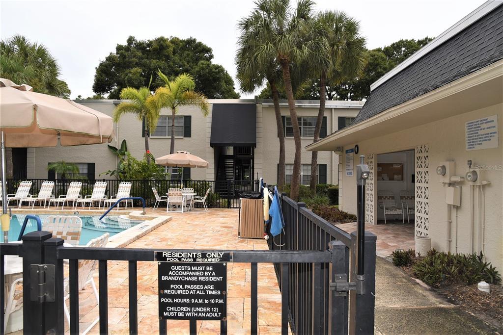 4315 Aegean Dr Unit 240C, Tampa, FL 33611 Condo for Rent in Tampa, FL