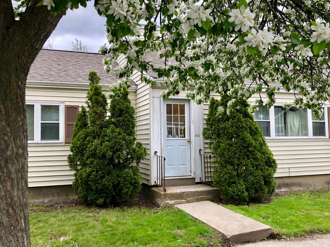 Primary Photo - 560 Saint John St