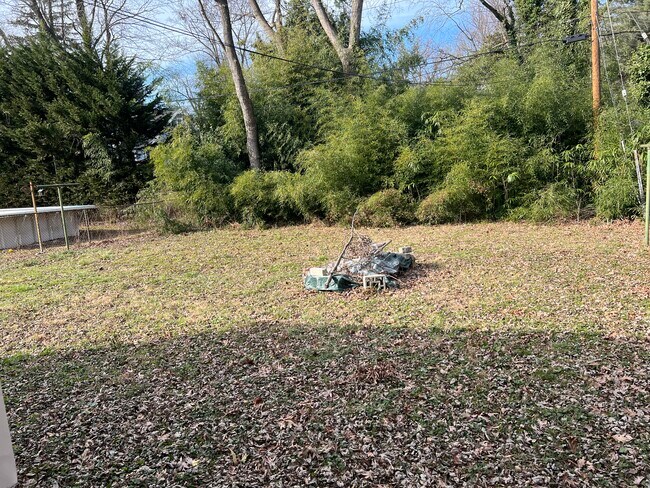 Back yard - 830 Cedarcroft Rd