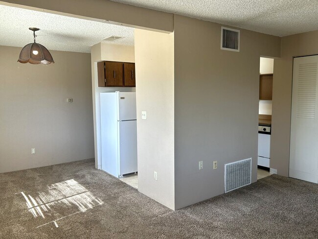 Foto del edificio - Affordable 1 Bed / 1 Bath Condo Near CSU – Summer Discount!