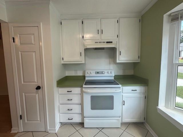 Building Photo - 1000 Dolive Springs Dr