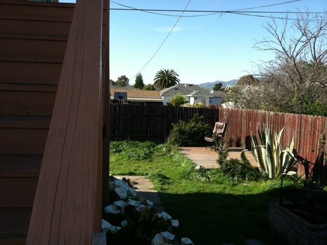 Studio backyard - 560 Leff Street
