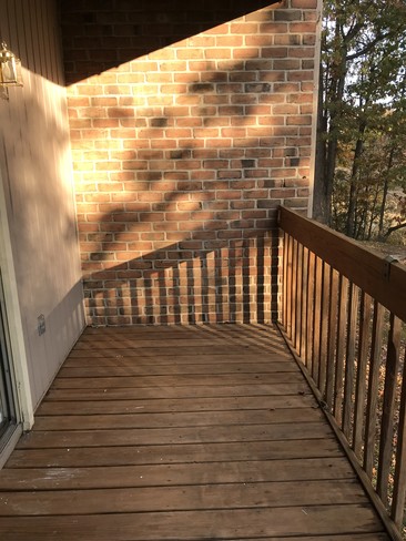 Building Photo - 1300 Sugarwood Cir