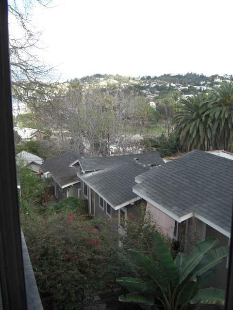 Vista desde la parte superior de la propiedad hacia abajo en la tres cabañas en el lado este. - 1732 Kent St