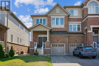 Building Photo - 4024 Fracchioni Dr