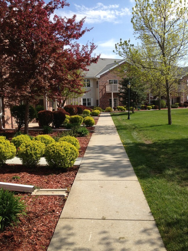 Foto del edificio - 357 Cottonwood Ave