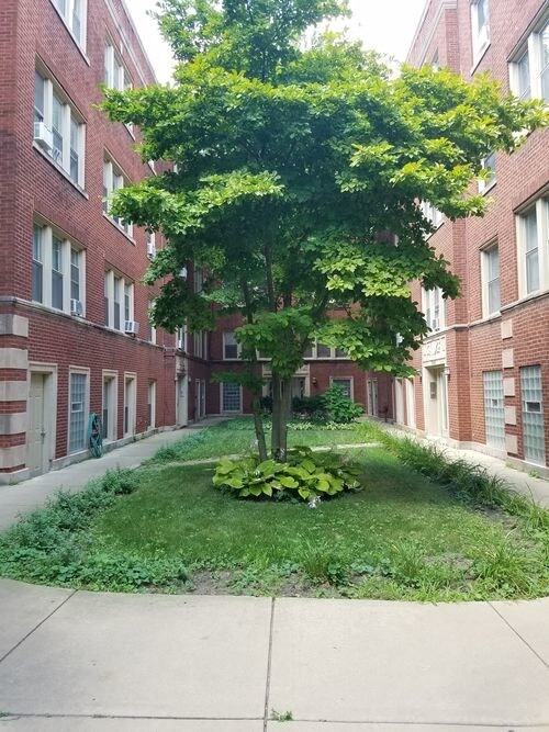 Foto del edificio - 6808 N Wolcott Ave