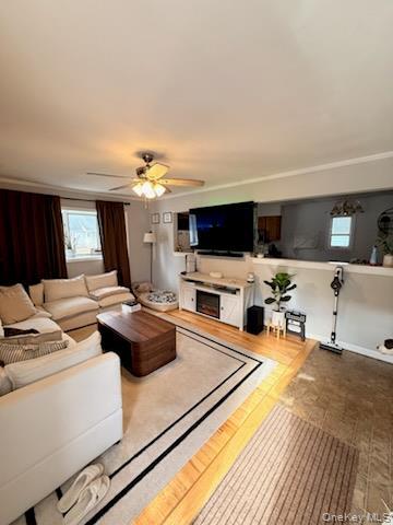 Foto del edificio - 43 Titmus Dr