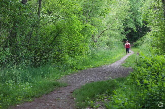 Walk among nature at Reading Town Forest.