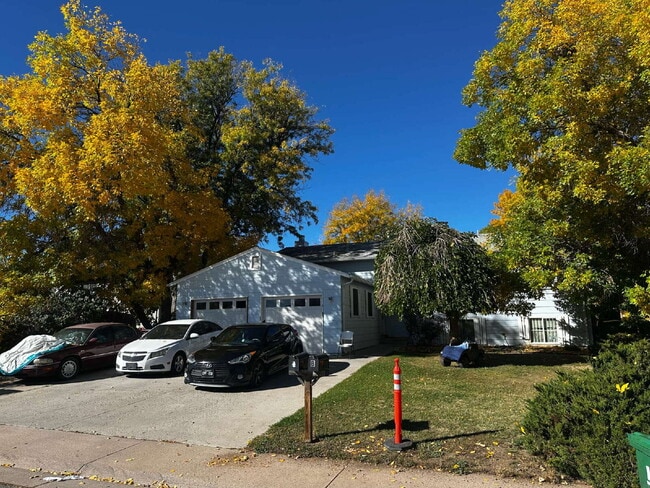 AVAILABLE NOW! Newly refreshed duplex in A... - AVAILABLE NOW! Newly refreshed duplex in A... Apartment