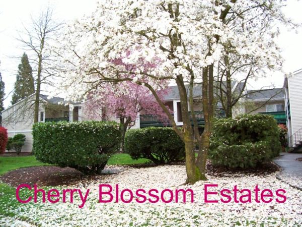 Primary Photo - 10570 SE Cherry Blossom Dr