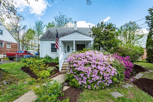 Lovely and Updated 4 Bedroom 2 Bath Cape C... - Lovely and Updated 4 Bedroom 2 Bath Cape C... House