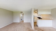Located at 1049 Brentwood Dr in Daytona Beach, Florida, this one-bedroom, one-bathroom residence offers a practical and well-organized single-floor layout. The combined kitchen and living room serves as the heart of the home, where wood-look flooring at the entryway transitions into plush carpeting across the main living area. Large windows flood the space with natural light and provide pleasant views of the surrounding greenery and a pool area beyond. The kitchen features a peninsula-style breakfast bar, white cabinetry with ample storage, light countertops, a stainless steel sink, and black appliances including an electric range and refrigerator. A textured ceiling carries throughout the home, adding a consistent design element. The bedroom is a comfortable, carpeted retreat with its own window that frames outdoor views, complemented by a closet accessible through a private door. The bathroom is clean and functional, featuring a tiled tub-shower combination, a window for natural ventilation, and wood-look flooring. A connecting hallway ties the rooms together efficiently. Neutral warm-gray tones on the walls throughout create a cohesive, understated aesthetic that is easy to personalize.