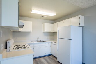 Oasis Apartments photo'