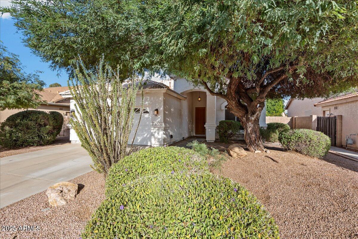 Primary Photo - 24225 N 39th Ave