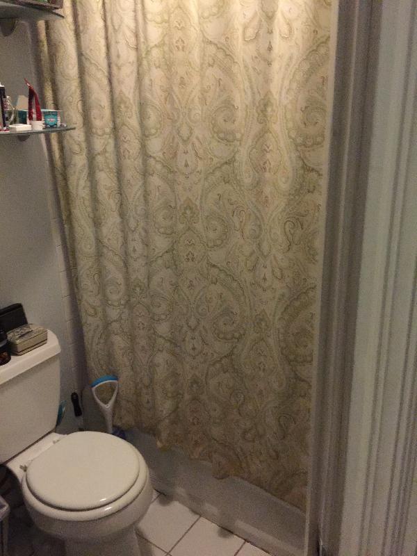 Foto del edificio - 36 Myrtle St