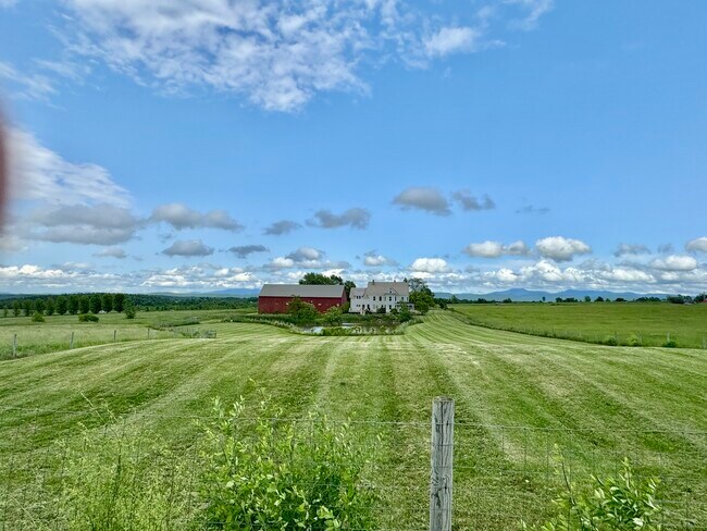 Foto del edificio - 1046 Ethan Allen Hwy