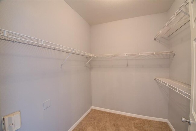 Building Photo - 2320 Gracy Farms Ln