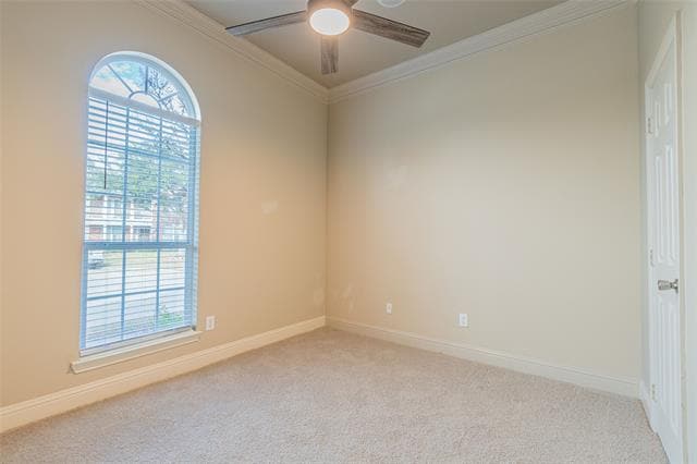 Foto del edificio - 4565 Blarney Stone Ct