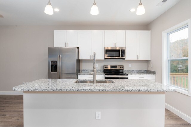 Stainless Steel Package - 15 Woodland Ter