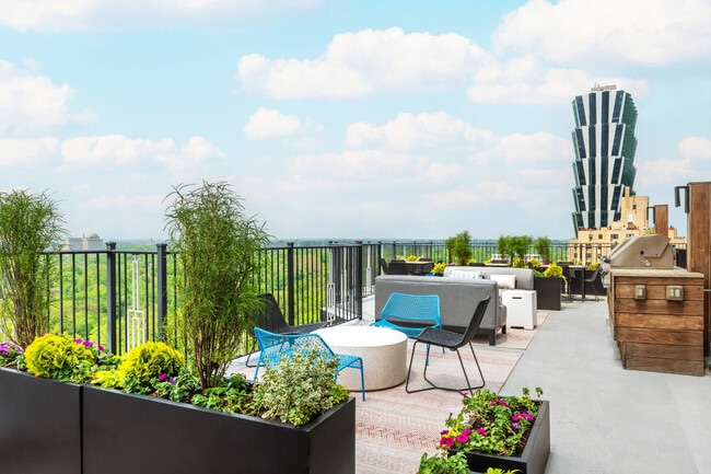 Common Amenity - Montclair on the Park Apartments