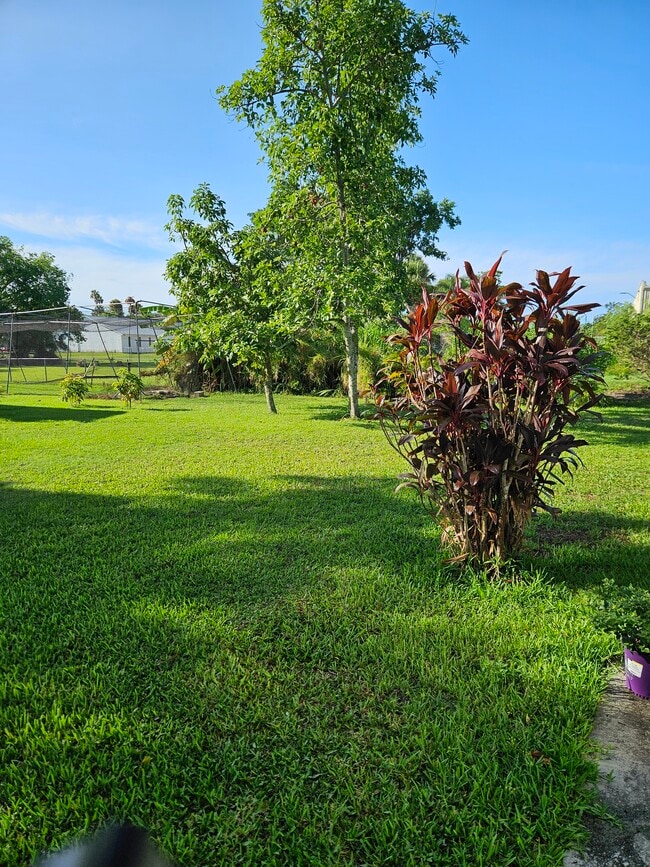 Big yard - 4150 SE 37th Way
