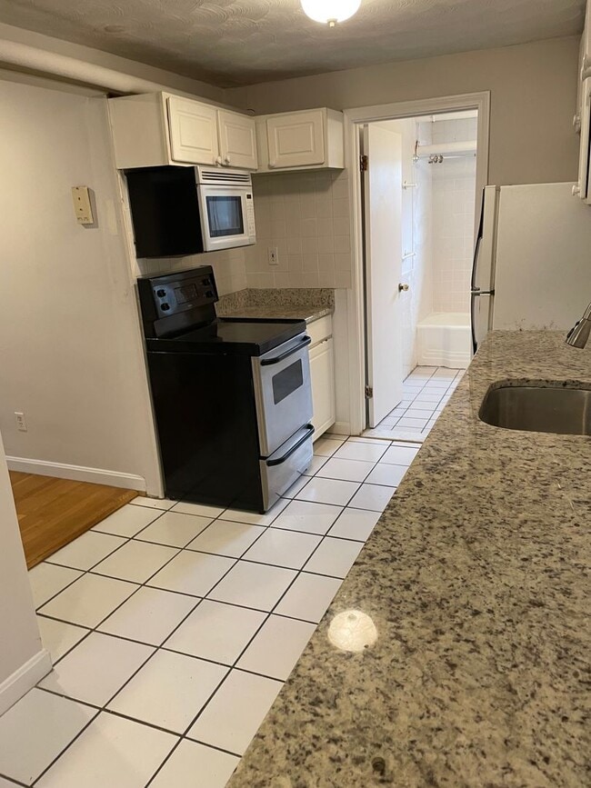 Nicely renovated condo in Coolidge Corner! - Nicely renovated condo in Coolidge Corner!