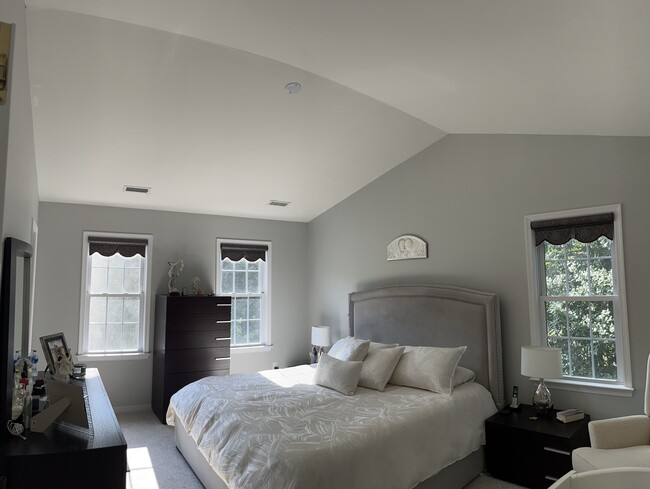 Master Suite with vaulted ceiling, walk in closet and master bathroom - 6739 Beulah Oaks Ln