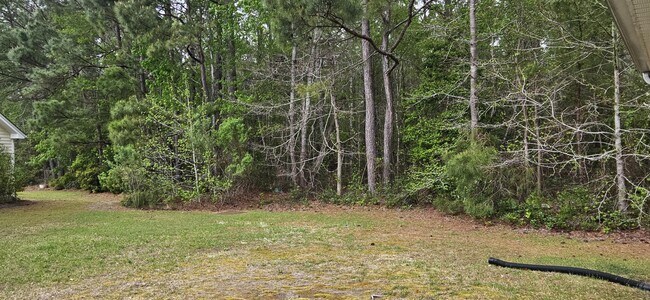 Photo - 260 Whitchurch St House