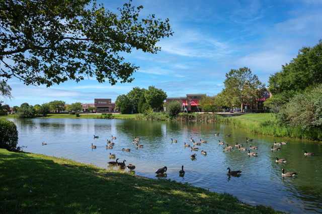 Estanque - Fairfield Townhomes at Islip