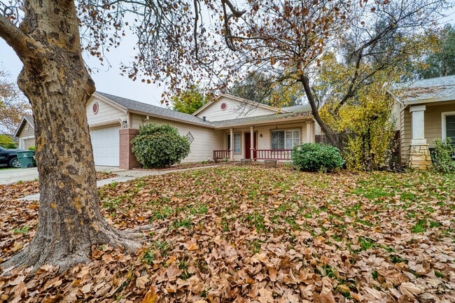 Building Photo - Olivehurst Living: 4 Beds, 2 Baths with Easy Commuting