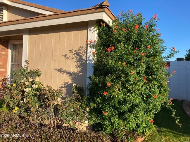 Building Photo - 314 E Campo Bello Dr