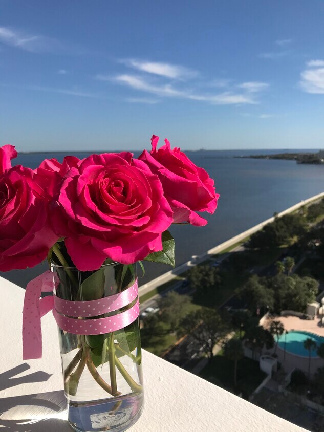Foto principal - 4015 Bayshore Blvd