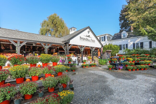 Springdell Farm in Littleton has many choices of flowers and grocery goods.