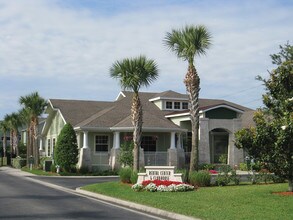 Goldelm at Braden River photo'