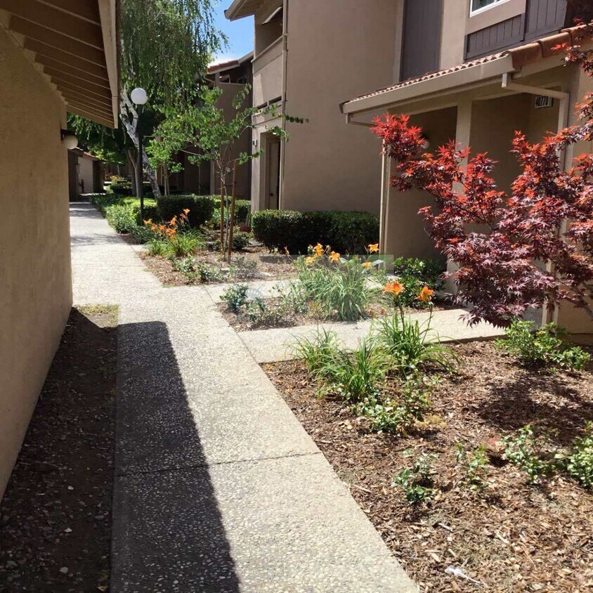 4077 Dale Rd Unit D, Modesto, CA 95356 Condo for Rent in Modesto, CA