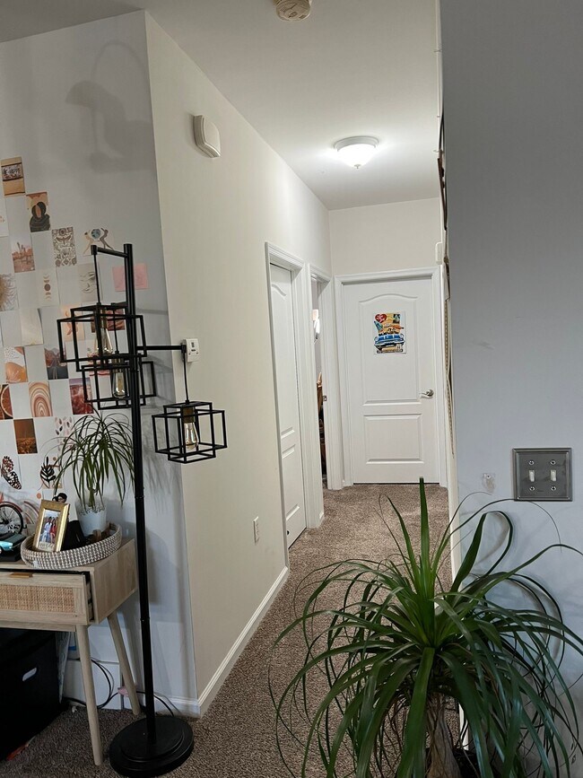 5304 Warminster Dr Unit 305, Virginia Beach, VA 23455 Condo for Rent