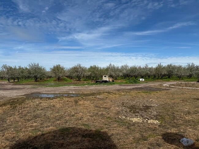 Building Photo - 31195 Lone Tree Rd